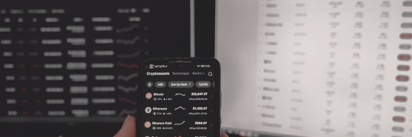 Decentralixed Crypto Asset Management
